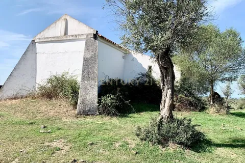 Farm hus i Alter do Chao, Portalegre, Alter do Chao - € 1.365.000 | Ref: C0486-00166 - foto 31