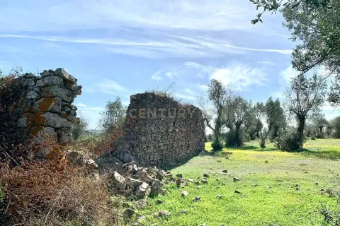 Farm hus i Alter do Chao, Portalegre, Alter do Chao - € 1.365.000 | Ref: C0486-00166 - foto 33