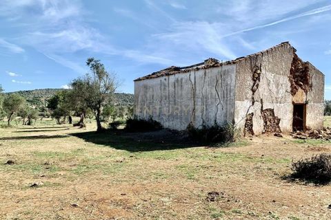 Farm hus i Alter do Chao, Portalegre, Alter do Chao - € 1.365.000 | Ref: C0486-00166 - foto 36