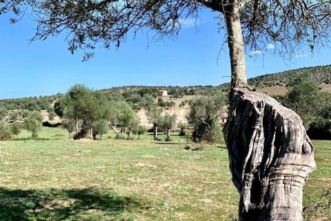 Farm hus i Alter do Chao, Portalegre, Alter do Chao - € 1.365.000 | Ref: C0486-00166 - foto 38