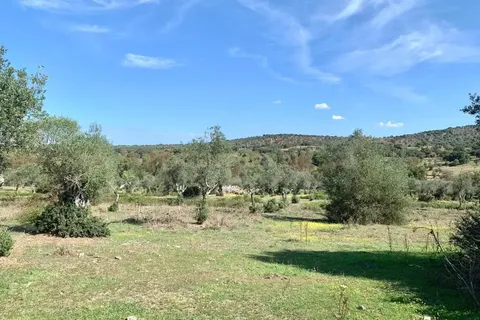 Farm hus i Alter do Chao, Portalegre, Alter do Chao - € 1.365.000 | Ref: C0486-00166 - foto 39