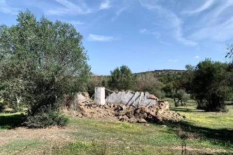 Farm hus i Alter do Chao, Portalegre, Alter do Chao - € 1.365.000 | Ref: C0486-00166 - foto 41