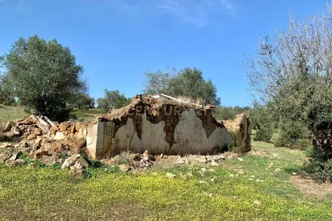 Farm hus i Alter do Chao, Portalegre, Alter do Chao - € 1.365.000 | Ref: C0486-00166 - foto 42