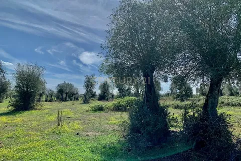 Farm hus i Alter do Chao, Portalegre, Alter do Chao - € 1.365.000 | Ref: C0486-00166 - foto 46