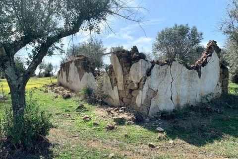Farm hus i Alter do Chao, Portalegre, Alter do Chao - € 1.365.000 | Ref: C0486-00166 - foto 49