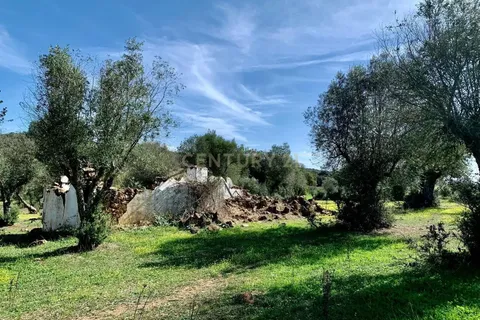 Farm hus i Alter do Chao, Portalegre, Alter do Chao - € 1.365.000 | Ref: C0486-00166 - foto 50