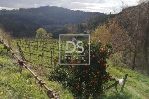 Helårsgrund i Souselo, Viseu, Souselo - € 62.500 | Ref: DSPMCANAVSMM64 - foto 2