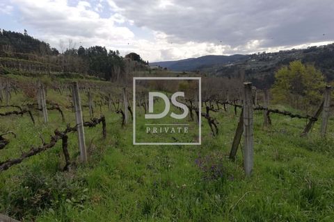 Helårsgrund i Souselo, Viseu, Souselo - € 62.500 | Ref: DSPMCANAVSMM64 - foto 3
