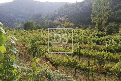Helårsgrund i Souselo, Viseu, Souselo - € 62.500 | Ref: DSPMCANAVSMM64 - foto 4