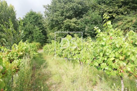 Helårsgrund i Souselo, Viseu, Souselo - € 62.500 | Ref: DSPMCANAVSMM64 - foto 6