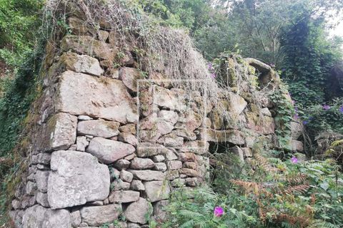 Helårsgrund i Souselo, Viseu, Souselo - € 62.500 | Ref: DSPMCANAVSMM64 - foto 7