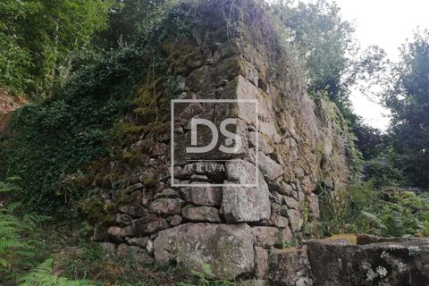 Helårsgrund i Souselo, Viseu, Souselo - € 62.500 | Ref: DSPMCANAVSMM64 - foto 8