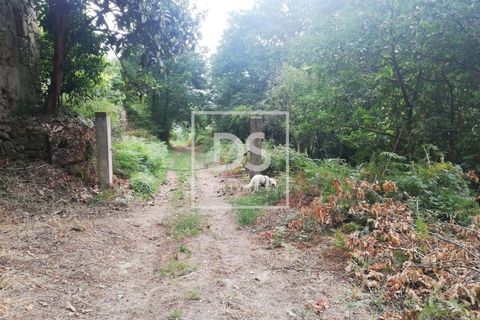 Helårsgrund i Souselo, Viseu, Souselo - € 62.500 | Ref: DSPMCANAVSMM64 - foto 9