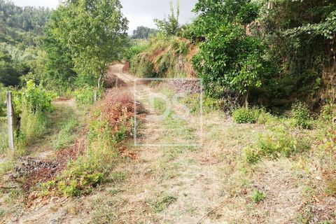Helårsgrund i Souselo, Viseu, Souselo - € 62.500 | Ref: DSPMCANAVSMM64 - foto 10