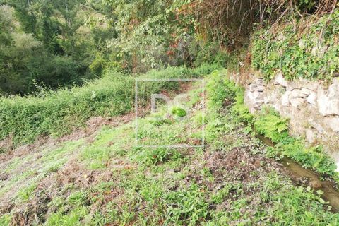 Helårsgrund i Souselo, Viseu, Souselo - € 62.500 | Ref: DSPMCANAVSMM64 - foto 12