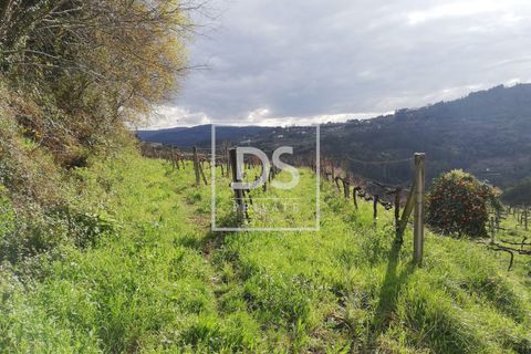 Helårsgrund i Souselo, Viseu, Souselo - € 62.500 | Ref: DSPMCANAVSMM64 - foto 14
