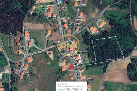 Helårsgrund i Ponte de Lima, Viana do Castelo, Ponte de Lima - € 125.000 | Ref: ONE81381-50 - foto 1