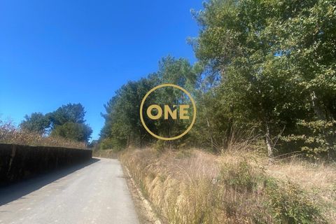 Helårsgrund i Ponte de Lima, Viana do Castelo, Ponte de Lima - € 125.000 | Ref: ONE81381-50 - foto 9