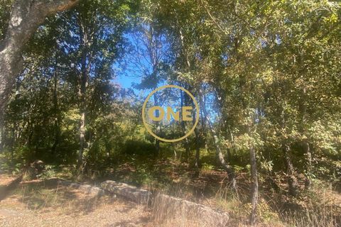 Helårsgrund i Ponte de Lima, Viana do Castelo, Ponte de Lima - € 125.000 | Ref: ONE81381-50 - foto 10