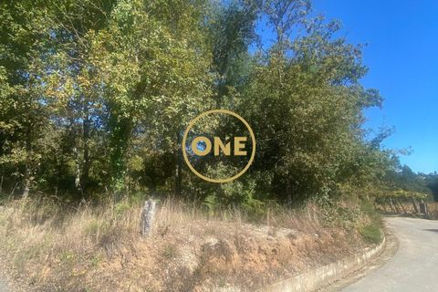 Helårsgrund i Ponte de Lima, Viana do Castelo, Ponte de Lima - € 125.000 | Ref: ONE81381-50 - foto 12