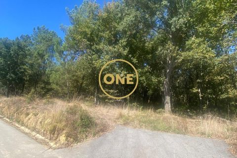 Helårsgrund i Ponte de Lima, Viana do Castelo, Ponte de Lima - € 125.000 | Ref: ONE81381-50 - foto 13