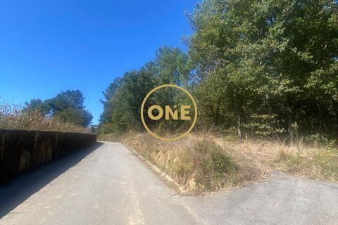 Helårsgrund i Ponte de Lima, Viana do Castelo, Ponte de Lima - € 125.000 | Ref: ONE81381-50 - foto 14