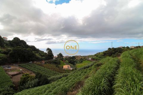Byhus i Ponta do Sol, Madeira, Ponta do Sol - € 425.000 | Ref: ONE361630-9 - foto 22