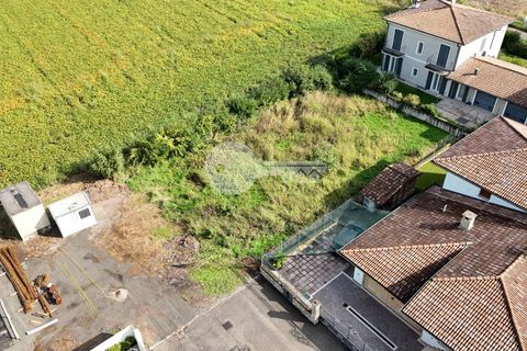 Helårsgrund i Calvisano, Brescia, Calvisano - € 65.000 | Ref: 6415062020-1261 - foto 14