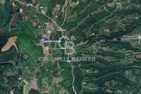 Parkeringsplads i Latera, Viterbo, Latera - € 26.000 | Ref: CBI105-1176-426 - foto 14