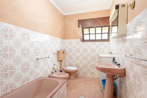 Villa i Ribeira de Pena, Vila Real, Ribeira de Pena - € 145.000 | Ref: 265 - foto 10