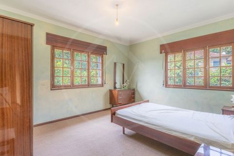 Villa i Ribeira de Pena, Vila Real, Ribeira de Pena - € 145.000 | Ref: 265 - foto 11