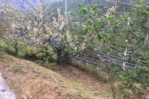 Landejendom i Erli, Savona, Erli - € 130.000 | Ref: 989 - foto 29