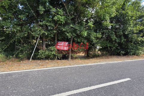 Helårsgrund i Viseu, Viseu, Viseu - € 77.000 | Ref: 189252178 - foto 1