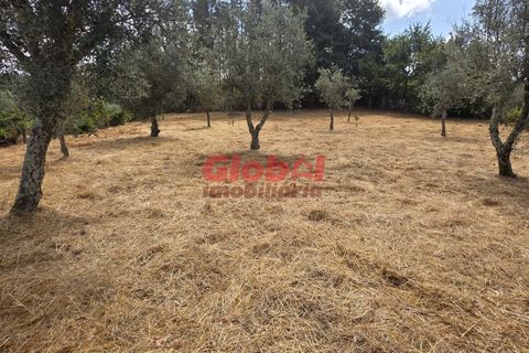 Helårsgrund i Viseu, Viseu, Viseu - € 56.500 | Ref: 189252218 - foto 2