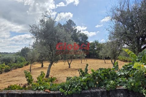 Helårsgrund i Viseu, Viseu, Viseu - € 56.500 | Ref: 189252218 - foto 3