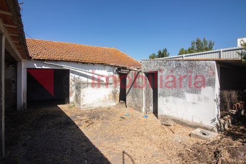 Villa i Vila Cha de Ourique, Santarem, Vila Cha de Ourique - € 120.000 | Ref: 200003013 - foto 9