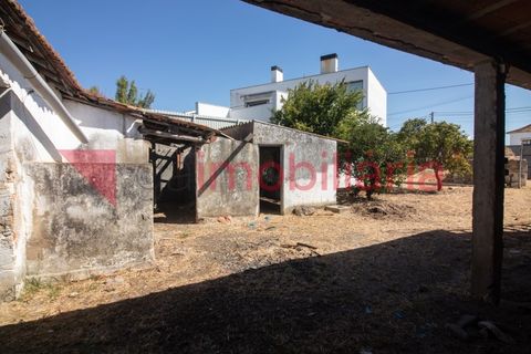 Villa i Vila Cha de Ourique, Santarem, Vila Cha de Ourique - € 120.000 | Ref: 200003013 - foto 11