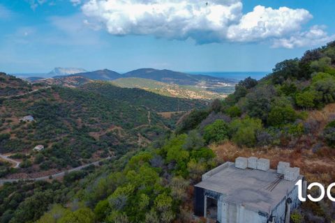 Helårsgrund i Torpe, Nuoro, Torpe - € 190.000 | Ref: PO1212 - foto 3