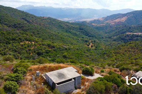 Helårsgrund i Torpe, Nuoro, Torpe - € 190.000 | Ref: PO1212 - foto 5