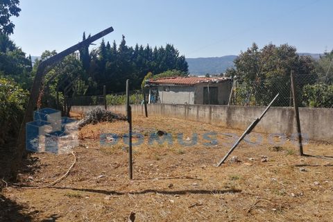 Rækkehus i Vila Real, Vila Real, Vila Real - € 120.000 | Ref: HAB_1435 - foto 14