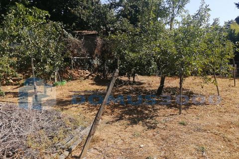 Rækkehus i Vila Real, Vila Real, Vila Real - € 120.000 | Ref: HAB_1435 - foto 16