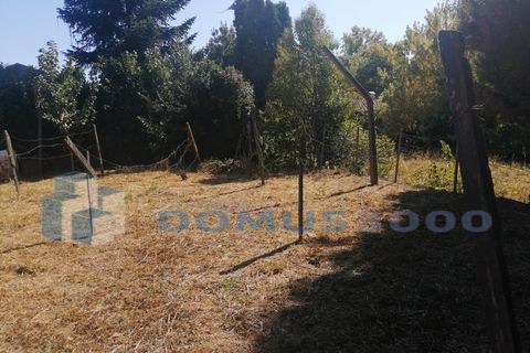 Rækkehus i Vila Real, Vila Real, Vila Real - € 120.000 | Ref: HAB_1435 - foto 18