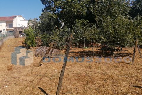 Rækkehus i Vila Real, Vila Real, Vila Real - € 120.000 | Ref: HAB_1435 - foto 19