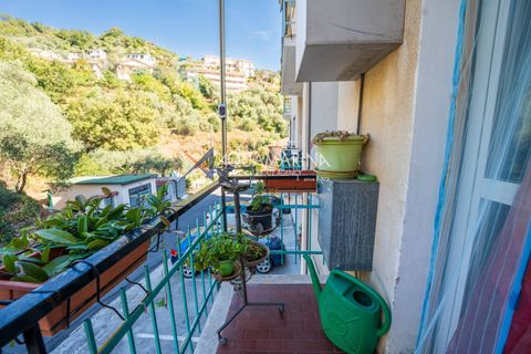 Leilighet i Pietrabruna, Imperia, Pietrabruna - € 115 000 | Ref: 14050 - foto 11