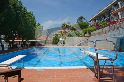 Lejlighed i Ospedaletti, Imperia, Ospedaletti - € 190.000 | Ref: VM33 - foto 25