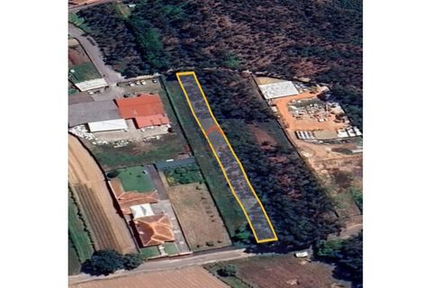 Helårsgrund i Agueda, Aveiro, Agueda - € 22.000 | Ref: 6590 - foto 1