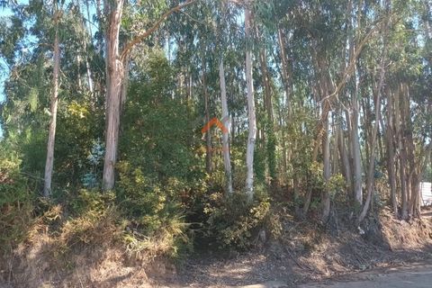 Helårsgrund i Agueda, Aveiro, Agueda - € 22.000 | Ref: 6590 - foto 2