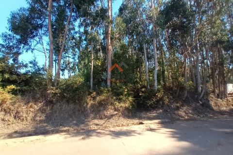 Helårsgrund i Agueda, Aveiro, Agueda - € 22.000 | Ref: 6590 - foto 3