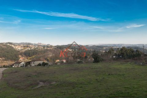 Farm i Amarante, Porto, Amarante - € 790.000 | Ref: 11058 - foto 29