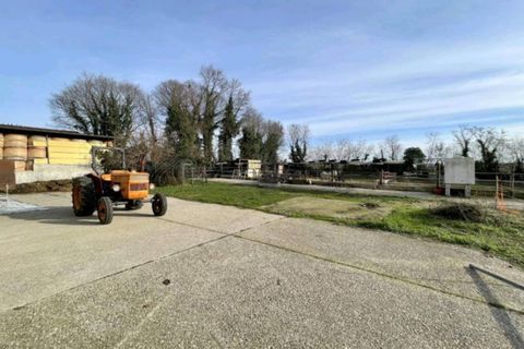 Landejendom i Cavriana, Mantua, Cavriana - € 420.000 | Ref: 2750 - foto 27